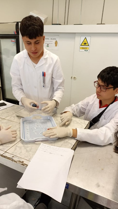 Laboratorio de Ciencias Disección ojo de vaca 2dos Medios